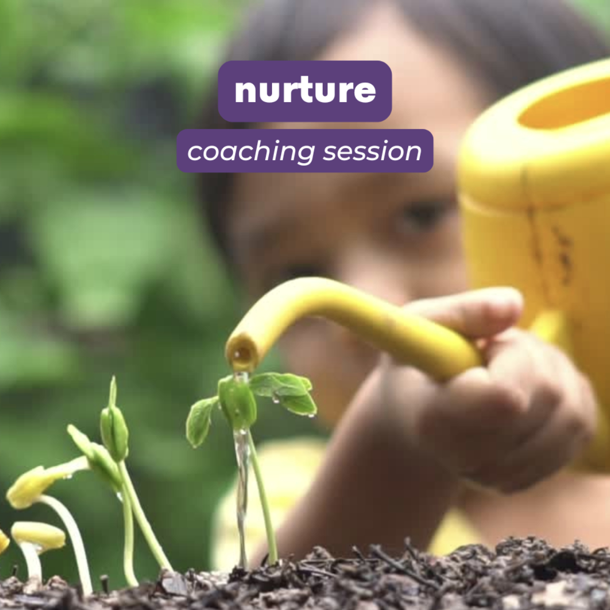 nurture